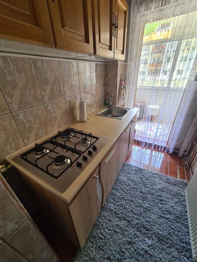 Garsoniera Slanic-Moldova Apartamento Exterior foto